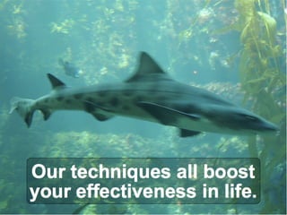 Corporate Introduction