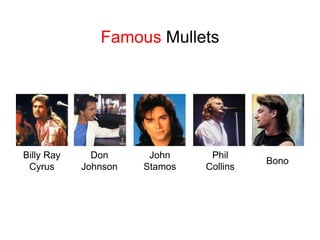 Famous MulletsBilly Ray CyrusDon JohnsonJohnStamosPhilCollinsBono
