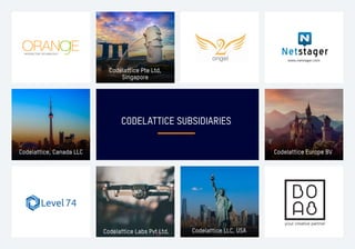 Corporate profile- Codelattice 2021 | PDF