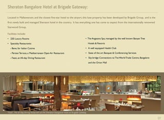 Galaxy Club - Corporate synopsis