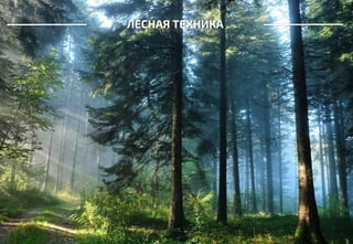 ЛЕСНАЯ ТЕХНИКА
 
