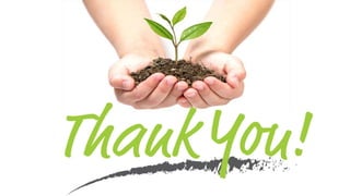 Holding Company Accounts