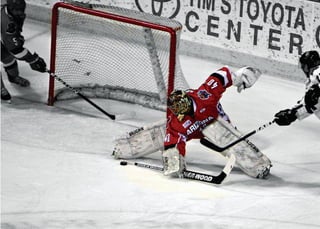 Hockey Sales Brochure