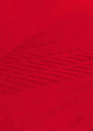 ROCKWOOL Asia - Leading Stone Wool Provider | PDF