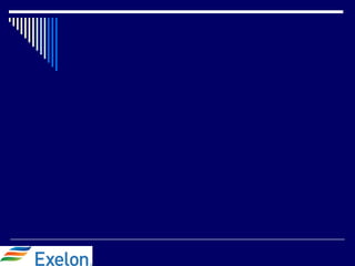 Corporate Communication & Reputation Audit of Exelon