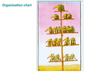 Organisation chart 