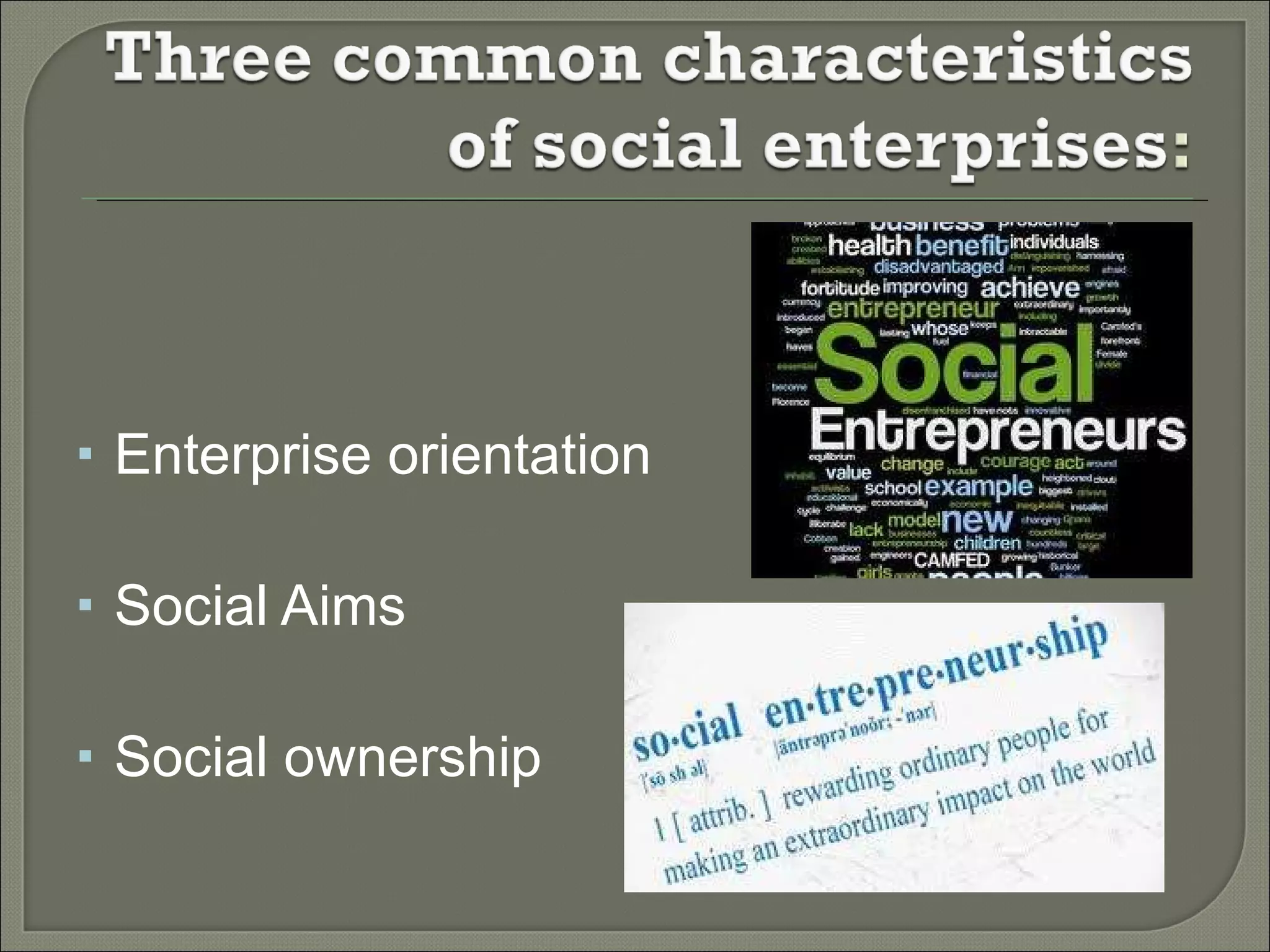 Enterprise orientation  Social Aims  Social ownership  