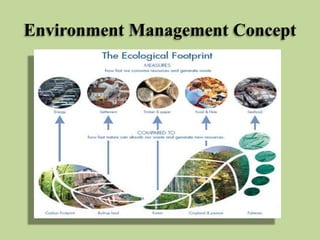Environment Management Concept

 