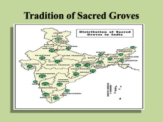 Tradition of Sacred Groves

 