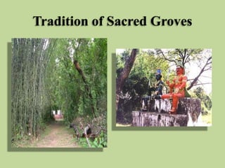 Tradition of Sacred Groves

 