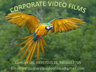 Contact Us: 9899700535, 9818657705 
Email Us: corporatevideofilms@gmail.com 
 