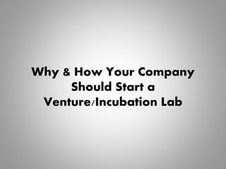 Why & How Your Company
Should Start a
Venture/Incubation Lab
 
