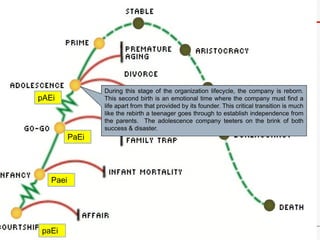 During this stage of the organization lifecycle, the company is reborn.
This second birth is an emotional time where the company must find a
life apart from that provided by its founder. This critical transition is much
like the rebirth a teenager goes through to establish independence from
the parents. The adolescence company teeters on the brink of both
success & disaster.
pAEi
paEi
Paei
PaEi
 