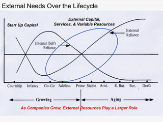 Start Up Capital
External Capital,
Services, & Variable Resources
External Needs Over the Lifecycle
As Companies Grow, External Resources Play a Larger Role
 