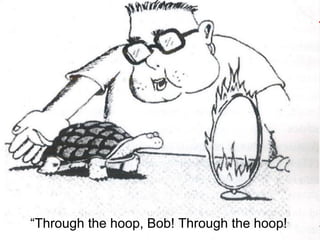 “Through the hoop, Bob! Through the hoop!
 