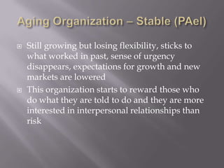 Aging Organization – Stable (PAeI)Still growing but losing flexibility, sticks to what worked in past, sense of urgency disappears, expectations for growth and new markets are loweredThis organization starts to reward those who do what they are told to do and they are more interested in interpersonal relationships than risk 