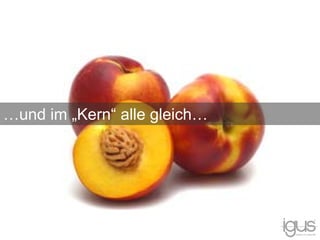 …und im „Kern“ alle gleich…
 