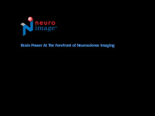Brain Power At The Forefront of Neuroscience Imaging 