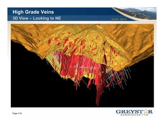 High Grade Veins
3D View – Looking to NE   TSX:GSL AIM:GSL




                                            YOUR LOGO
Page 20
 