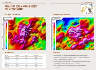 PRIMAVERA GOLD/COPPER PROJECT
SOIL GEOCHEMISTRY
GOLD IN SOIL GEOCHEMISTRY
TRENCH RESULTS
Trench ID	Interval (m)	 Gold (g/t)	 Copper (ppm)
PRTR11-005	51.25	1.53	 680
PRTR11-010	107.00	0.78	 980
PRTR11-011	179.40	0.63	 997
PRTR11-012	58.00	0.70	 1313
PRTR11-013	49.50	0.25	 1100
PRTR11-014	51.70	0.42	 1286
HIGHLIGHTS
COPPER IN SOIL GEOCHEMISTRY
» 
Over 800 m by 300 m gold/copper soil geochemistry anomaly (open)
» 
Additional gold/copper soil geochem anomalies have been outlined in the
25km2
Primavera porphyry target area
» 
Trenches returned long intervals of continuous gold/copper mineralization
including 179.4m grading 0.63g/t Au and 997 ppm Cu
» 
Very sparse rock outcrop in region with up to 10m of overburden
and saprolite
Borosi Concessions
0km 20 40
15
CALIBREMINING.COM
14 PRIMAVERA PROJECT
 