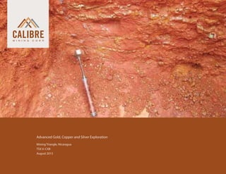 Advanced Gold, Copper and Silver Exploration
	 Mining Triangle, Nicaragua
	 TSX.V: CXB
	 August 2013
 