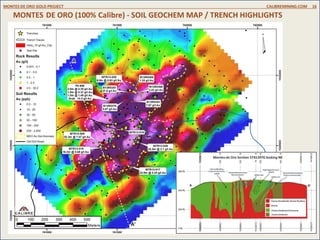 MONTES DE ORO (100% Calibre) - SOIL GEOCHEM MAP / TRENCH HIGHLIGHTS
MONTES DE ORO GOLD PROJECT CALIBREMINING.COM 16
 