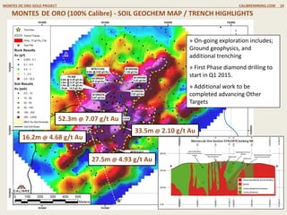 MONTES DE ORO (100% Calibre) – CURRENT EXPLORATION
MONTES DE ORO GOLD PROJECT CALIBREMINING.COM 19
» Q4 2014 ground magnetic survey completed over entire Gold in soil anomaly.
» Q1 2015 Induced Polarization Survey underway.
» additional trenching to be completed in Q1 2015.
» Drilling expected Q1 2015
Additional Exploration On-going on “Look Alike” Targets
 