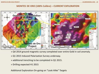 ROSITA OPTION FORMER SANTA RITA
COPPER-GOLD MINE (33.56 km2)
Optioned to Alder Resources
» Optioned to Alder Resources. Spending C$4.0 million
over four years (C$3.6 to date) to earn a 65% stake
» Rosita D concession: 3,356 hectares - 5% of Calibre’s
concessions in the Mining Triangle
ROSITA PROJECT CALIBREMINING.COM 20
Bambana
Santa Rita
SANTA
RITA
R13
» Historic Santa Rita open pit Cu/Au mine: past production
305 M lbs Cu, 177k ozs Au, and 2.6M ozs Ag from 5.9Mt
» 2012 NI 43-101 Inferred Resource at Santa Rita of;
7.95 Mt @ 0.62% Cu, 0.46 g/t Au, and 9.2g/t Ag. with
108 M lbs copper, 118 K oz gold and 2.35 M oz of silver
» High grade copper/gold/silver zone identified at
Bambana with 5.21% Cu, 4.40 g/t Au and 144g/t Ag over
12.1 metres
2012 – New Copper/Gold/Silver Resource at Santa Rita
 