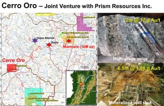 16
2m @ 12 g Au/t
6.5m @ 1.98 g Au/t
High-grage veins
Mineralized wall rock
Cerro Oro – Joint Venture with Prism Resources Inc.
Marmato (10M oz)
Cerro Oro
Hojas Anchas
Supia
 
