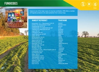 FUNGIcides
Fungi are one of the major cause of crop loss worldwide. HPM offers a number
of Fungicide products to for plant protection from various fungi.
NameofTheProduct TradeName
Azoxystrobin 11% + Tebuconazole 18.3% SC PREDICT
CAPTAN 70% HEXACONAZOLE 5%WP PANTHER GOLD
CARBENDAZIM 46.27% SC BATISTA
CARBENDAZIM 12 % MANCOZEB 63% WP STUFF
CYMOXILIN 8% MANCOZEB 64% WP SUPERHIT
Captan 50% WP PANTHER
Carbendazim 50% WP HITASTIN
Copper Oxychloride 50% WP HICOPPER
Captan 75% WS TAGO
DIFENCONAZOLE 25% EC SAVER
HEXCONAZOLE 5% SC HITAZOL
Hexaconazole 5% EC HEXAHIT
ISOPROTHILONE 40% EC SAMBA
MANCOZEB 75% WP HINDUSTAN M-45
MYCLOBUTANIL 10% WP NIDAR
Mancozeb 35% SC SAFETY
PROPINEB 70% WP KARISHMA
Propiconazole 13.9% +Difenoconazole 13.9% EC ROBOCOP
Propiconazole 25% EC PHOENIX
SULPHUR 80% WDG HIVET
Sulphur 40% SC SUPERSONIC SC
TEBUCONAZOLE 2% DS RECENT
TEBUCONZOLE 25.9% EC BOND
TRICYCALZOLE 75% WP BINDASS
Validamycin 3%L SUKHIYA VIP
ZINEB 75%WP SAFETY
Ziram 27% CS HINDUSTAN ZIRAM
 