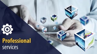 Professional
services
 