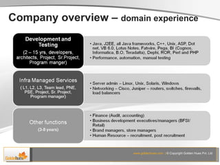 Company overview –  domain experience 
