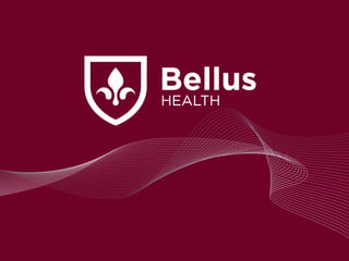 Corporate presentation   january 2013 v final