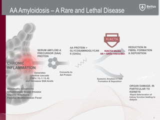 AA Amyloidosis – A Rare and Lethal Disease




                                                 AA PROTEIN +                                   REDUCTION IN
                        SERUM AMYLOID A          GLYCOSAMINOGLYCAN    KIACTA blocks             FIBRIL FORMATION
                        PRECURSOR (SAA)          S (GAGs)          AA + GAGs interaction        & DEPOSITION
                        PROTEIN

CHRONIC
INFLAMMATION
                      Generates          Converts to
                 cytokine cascade        AA Protein
                 (TNFα / IL-1 / IL-6)                               Systemic Amyloid A Fibril
              and increases SAA levels                               Formation & Deposition

                                                                                                ORGAN DAMAGE, IN
Rheumatic Conditions                                                                            PARTICULAR TO
Inflammatory Bowel Disease                                                                      KIDNEYS
Chronic Infections                                                                              -Rapid deterioration of
Familial Mediterranean Fever                                                                    kidney function leading to
                                                                                                dialysis




                                                                                                                        6
 