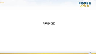 17
APPENDIX
 