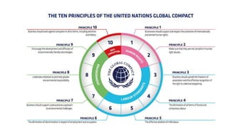 The UN Global Compact’s Ten Principles are
derived from the:
Universal Declaration
of Human Rights
International Labor
Org...