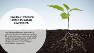 TIMBERLAND AND THE SMALLHOLDER
FARMERS ALLIANCE: CHANGING
LANDSCAPES, LIVES AND COMMUNITIES IN
HAITI
• In 2010, Timberland...