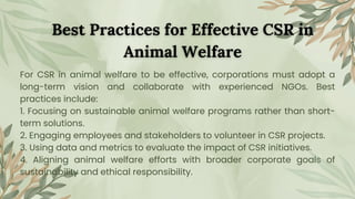 Corporate Social Responsibility - India Animal Fund | PDF