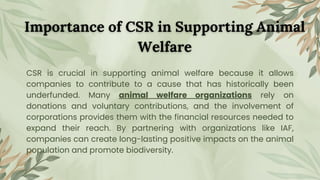 Corporate Social Responsibility - India Animal Fund | PDF