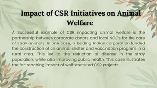 Corporate Social Responsibility - India Animal Fund | PDF