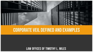 Corporate Veil Defined and Examples