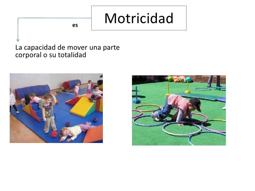 Corporeidad corporeidad