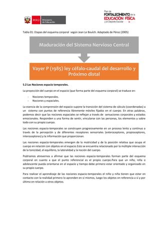 Tabla 01: Etapas del esquema corporal según Jean Le Boulch. Adaptado de Pérez (2005)
5.2 Las Nociones espacio temporales.
La proyección del cuerpo en el espacio (que forma parte del esquema corporal) se traduce en:
- Nociones temporales.
- Nociones y espaciales.
La esencia de la comprensión del espacio supone la transición del sistema de cálculo (coordenadas) a
un sistema con puntos de referencia libremente móviles fijados en el cuerpo. En otras palabras,
podemos decir que las nociones espaciales se reflejan a través de sensaciones corporales y estados
emocionales. Responden a una forma de sentir, vincularse con las personas, los elementos y sobre
todo con su propio cuerpo.
Las nociones espacio-temporales se construyen progresivamente en un proceso lento y continuo a
través de la percepción y de diferentes receptores sensoriales (exteroceptores, propioceptores,
interoceptores) y la información que proporcionan.
Las nociones espacio-temporales emergen de la motricidad y de la posición relativa que ocupa el
cuerpo en relación con objetos en el espacio.Esto se encuentra relacionado por la múltiple interacción
de la tonicidad, el equilibrio, la lateralidad y la noción del cuerpo.
Podríamos atrevernos a afirmar que las nociones espacio-temporales forman parte del esquema
corporal en cuanto a que el punto referencial es el propio cuerpo.Para que un niño, niña o
adolescente pueda orientarse en el espacio y tiempo debe primero estar orientado y organizado en
su propio cuerpo.
Para realizar el aprendizaje de las nociones espacio-temporales el niño y niña tienen que estar en
contacto con la realidad primero lo aprenden en sí mismos, luego los objetos en referencia a sí y por
último en relación a otros objetos.
Vayer P (1985) ley céfalo-caudal del desarrollo y
Próximo distal
Maduración del Sistema Nervioso Central
 