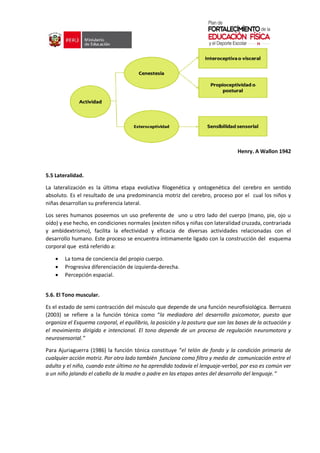 Henry. A Wallon 1942
5.5 Lateralidad.
La lateralización es la última etapa evolutiva filogenética y ontogenética del cerebro en sentido
absoluto. Es el resultado de una predominancia motriz del cerebro, proceso por el cual los niños y
niñas desarrollan su preferencia lateral.
Los seres humanos poseemos un uso preferente de uno u otro lado del cuerpo (mano, pie, ojo u
oído) y ese hecho, en condiciones normales (existen niños y niñas con lateralidad cruzada, contrariada
y ambidextrismo), facilita la efectividad y eficacia de diversas actividades relacionadas con el
desarrollo humano. Este proceso se encuentra íntimamente ligado con la construcción del esquema
corporal que está referido a:
 La toma de conciencia del propio cuerpo.
 Progresiva diferenciación de izquierda-derecha.
 Percepción espacial.
5.6. El Tono muscular.
Es el estado de semi contracción del músculo que depende de una función neurofisiológica. Berruezo
(2003) se refiere a la función tónica como “la mediadora del desarrollo psicomotor, puesto que
organiza el Esquema corporal, el equilibrio, la posición y la postura que son las bases de la actuación y
el movimiento dirigido e intencional. El tono depende de un proceso de regulación neuromotora y
neurosensorial.”
Para Ajuriaguerra (1986) la función tónica constituye “el telón de fondo y la condición primaria de
cualquier acción motriz. Por otro lado también funciona como filtro y medio de comunicación entre el
adulto y el niño, cuando este último no ha aprendido todavía el lenguaje-verbal, por eso es común ver
a un niño jalando el cabello de la madre o padre en las etapas antes del desarrollo del lenguaje.“
 