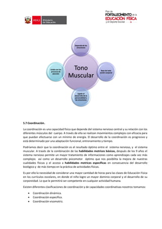 5.7 Coordinación.
La coordinación es una capacidad física que depende del sistema nervioso central y su relación con los
diferentes músculos del cuerpo. A través de ella se realizan movimientos complejos con eficacia para
que puedan efectuarse con un mínimo de energía. El desarrollo de la coordinación es progresivo y
está determinado por una adaptación funcional, entrenamiento y tiempo.
Podríamos decir que la coordinación es el resultado óptimo entre el sistema nervioso, y el sistema
muscular. A través de la combinación de las habilidades motrices básicas, después de los 9 años el
sistema nervioso permite un mayor tratamiento de informaciones como aprendizajes cada vez más
complejos así como un desarrollo psicomotor óptimo que nos posibilita la mejora de nuestras
cualidades físicas y el acceso a habilidades motrices específicas en consecuencia del desarrollo
biológico y de más tiempo en la práctica de actividades físicas.
Es por ello la necesidad de considerar una mayor cantidad de horas para las clases de Educación Física
en los currículos escolares, en donde el niño logre un mayor dominio corporal y el desarrollo de su
corporeidad. Lo que le permitirá ser competente en cualquier actividad humana.
Existen diferentes clasificaciones de coordinación y de capacidades coordinativas nosotros tomamos:
 Coordinación dinámica.
 Coordinación específica.
 Coordinación visomotriz.
Tono
Muscular
Depende de las
emociones
Base de toda
acción corporal
Ligado al
desarrollo de la
personalidad y
las emociones
Unido con los
procesos de
atención
 