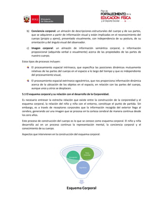 b) Conciencia corporal: un almacén de descripciones estructurales del cuerpo y de sus partes,
que se adquieren a partir de información visual y están implicadas en el reconocimiento del
cuerpo (propio y ajeno), presentado visualmente, con independencia de su postura, de su
orientación y del ángulo visual del observador.
c) Imagen corporal: un almacén de información semántica corporal, o información
proposicional (adquirida verbal o visualmente) acerca de las propiedades de las partes de
nuestro cuerpo.
Estos tipos de procesos incluyen:
El procesamiento espacial intrínseco, que especifica las posiciones dinámicas mutuamente
relativas de las partes del cuerpo en el espacio a lo largo del tiempo y que es independiente
del procesamiento visual,
El procesamiento espacial extrínseco egocéntrico, que nos proporciona información dinámica
acerca de la ubicación de los objetos en el espacio, en relación con las partes del cuerpo,
aunque unos y otros se desplacen.
5.1 El esquema corporal y su relación con el desarrollo de la Corporeidad.
Es necesario entrever la estrecha relación que existe entre la construcción de la corporeidad y el
esquema corporal, la relación del niño y niña con el entorno, constituye el punto de partida. Sin
embargo, es a través de receptores corporales que la información recogida del exterior llega al
cerebro, generando así una imagen que se procesa en la corteza cerebral de manera continua desde
los cero años.
Este proceso de construcción del cuerpo es lo que se conoce como esquema corporal. El niño y niña
desarrolla así en un proceso continuo la representación mental, la conciencia corporal y el
conocimiento de su cuerpo.
Aspectos que intervienen en la construcción del esquema corporal:
Esquema Corporal
Equilibrio
Percepción
Tono
muscular
 