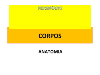 CORPOS
ANATOMIA

 