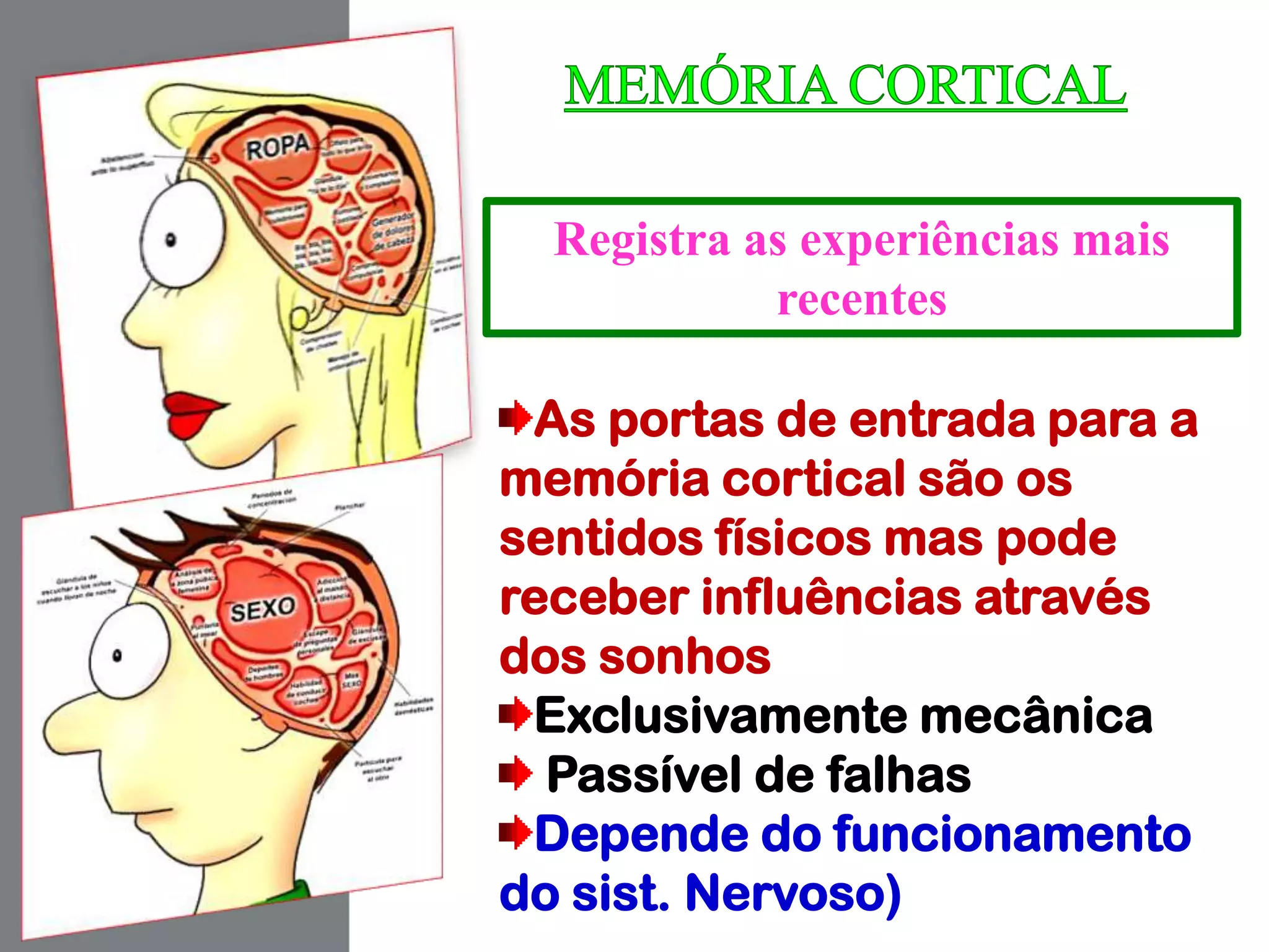 Registra as experiências mais
recentes
As portas de entrada para a
memória cortical são os
sentidos físicos mas pode
receber influências através
dos sonhos
Exclusivamente mecânica
Passível de falhas
Depende do funcionamento
do sist. Nervoso)
 