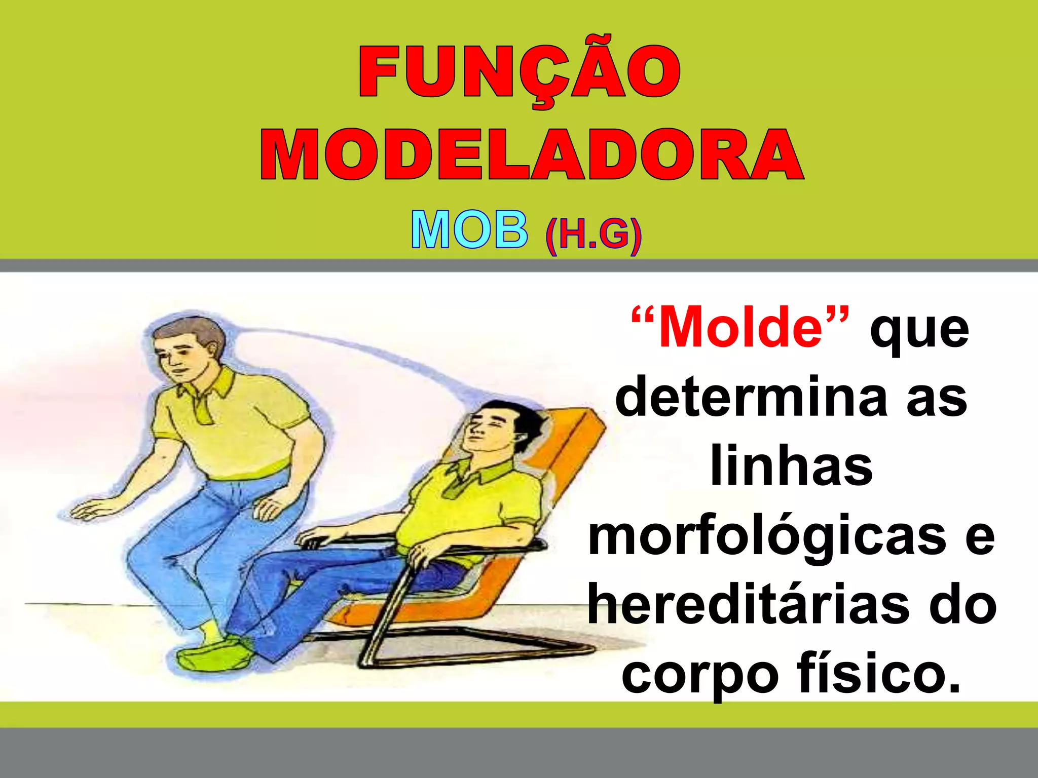 “Molde” que
determina as
linhas
morfológicas e
hereditárias do
corpo físico.
 