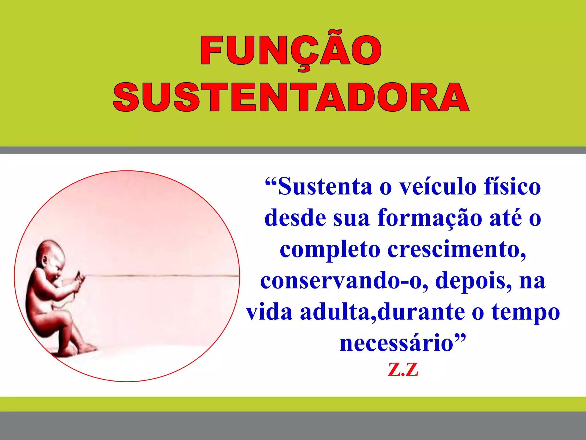 “Sustenta o veículo físico
desde sua formação até o
completo crescimento,
conservando-o, depois, na
vida adulta,durante o tempo
necessário”
Z.Z
 